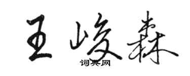 駱恆光王峻森行書個性簽名怎么寫