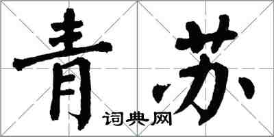 翁闓運青蘇楷書怎么寫