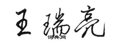 駱恆光王瑞亮行書個性簽名怎么寫