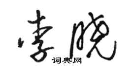 駱恆光李曉草書個性簽名怎么寫