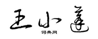 曾慶福王小蓬草書個性簽名怎么寫