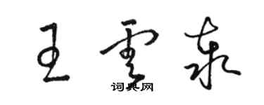 駱恆光王雲泰草書個性簽名怎么寫