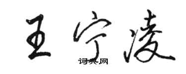 駱恆光王寧凌行書個性簽名怎么寫