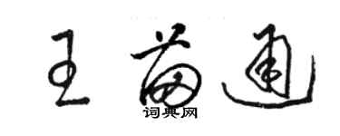 駱恆光王苗通草書個性簽名怎么寫