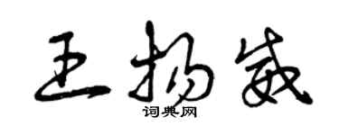 曾慶福王揚威草書個性簽名怎么寫