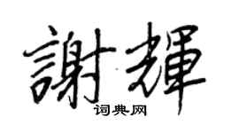 王正良謝輝行書個性簽名怎么寫