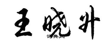 胡問遂王曉升行書個性簽名怎么寫