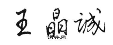 駱恆光王晶誠行書個性簽名怎么寫