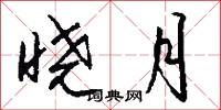 曉字的意思_曉字的解釋_國語詞典
