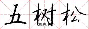 五樹松怎么寫好看