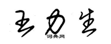 朱錫榮王力生草書個性簽名怎么寫