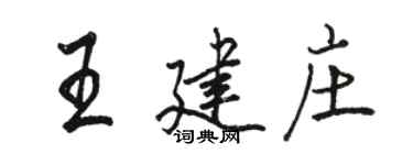 駱恆光王建莊行書個性簽名怎么寫