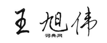 駱恆光王旭偉行書個性簽名怎么寫