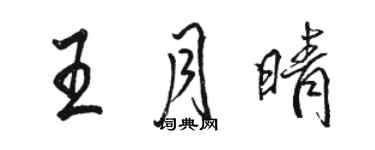 駱恆光王月晴行書個性簽名怎么寫