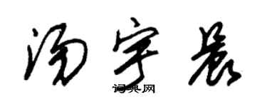 朱錫榮湯宇晨草書個性簽名怎么寫