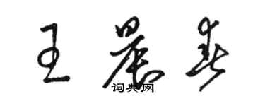 駱恆光王晨春草書個性簽名怎么寫