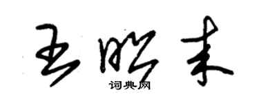 朱錫榮王昭來草書個性簽名怎么寫