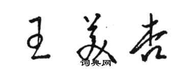 駱恆光王美杏草書個性簽名怎么寫