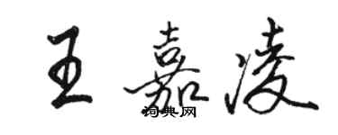 駱恆光王嘉凌行書個性簽名怎么寫