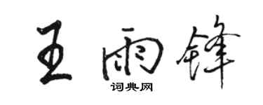駱恆光王雨鋒行書個性簽名怎么寫