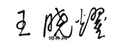 駱恆光王曉耀草書個性簽名怎么寫