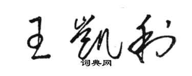 駱恆光王凱利草書個性簽名怎么寫