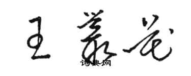 駱恆光王叢花草書個性簽名怎么寫