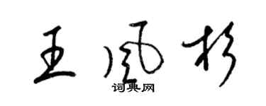 梁錦英王風杉草書個性簽名怎么寫