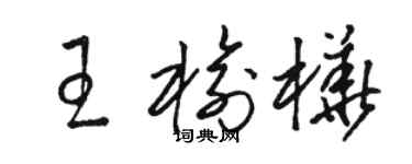 駱恆光王榆樺草書個性簽名怎么寫