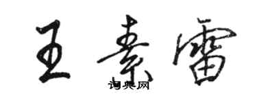 駱恆光王素雷行書個性簽名怎么寫