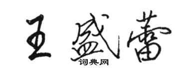 駱恆光王盛蕾行書個性簽名怎么寫