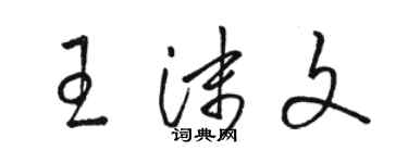 駱恆光王沫文草書個性簽名怎么寫