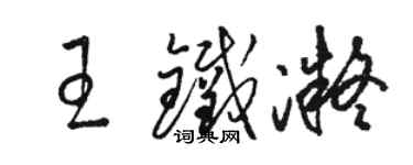 駱恆光王鐵凝草書個性簽名怎么寫