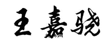 胡問遂王嘉驍行書個性簽名怎么寫