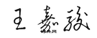 駱恆光王嘉駿草書個性簽名怎么寫