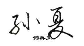 駱恆光孫夏行書個性簽名怎么寫