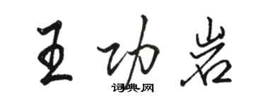 駱恆光王功岩行書個性簽名怎么寫