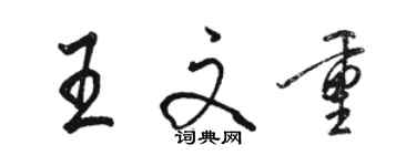 駱恆光王文重行書個性簽名怎么寫