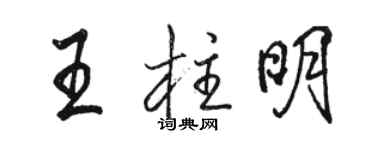 駱恆光王柱明行書個性簽名怎么寫