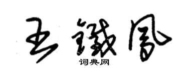 朱錫榮王鐵鳳草書個性簽名怎么寫