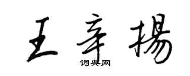 王正良王辛揚行書個性簽名怎么寫