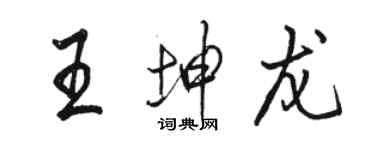 駱恆光王坤龍行書個性簽名怎么寫