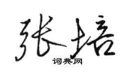 駱恆光張培行書個性簽名怎么寫