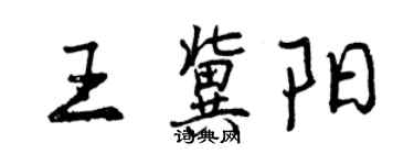 曾慶福王冀陽行書個性簽名怎么寫