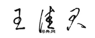 駱恆光王佳君草書個性簽名怎么寫