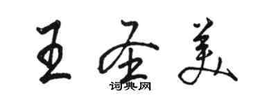 駱恆光王聖美行書個性簽名怎么寫