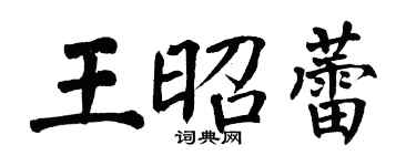 翁闓運王昭蕾楷書個性簽名怎么寫