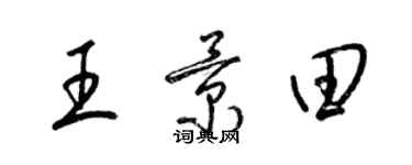 梁錦英王景田草書個性簽名怎么寫