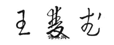 駱恆光王雙武草書個性簽名怎么寫