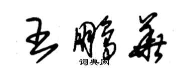 朱錫榮王鵬華草書個性簽名怎么寫